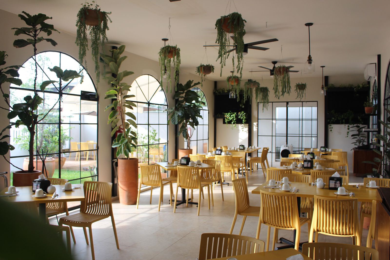 Interior de Sibarita Campestre con plantas colgantes